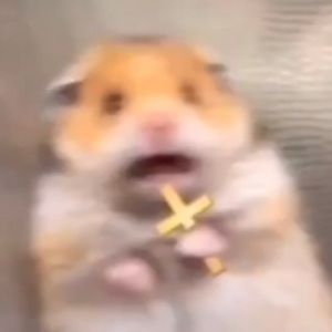 Meet your Posher, Peiper